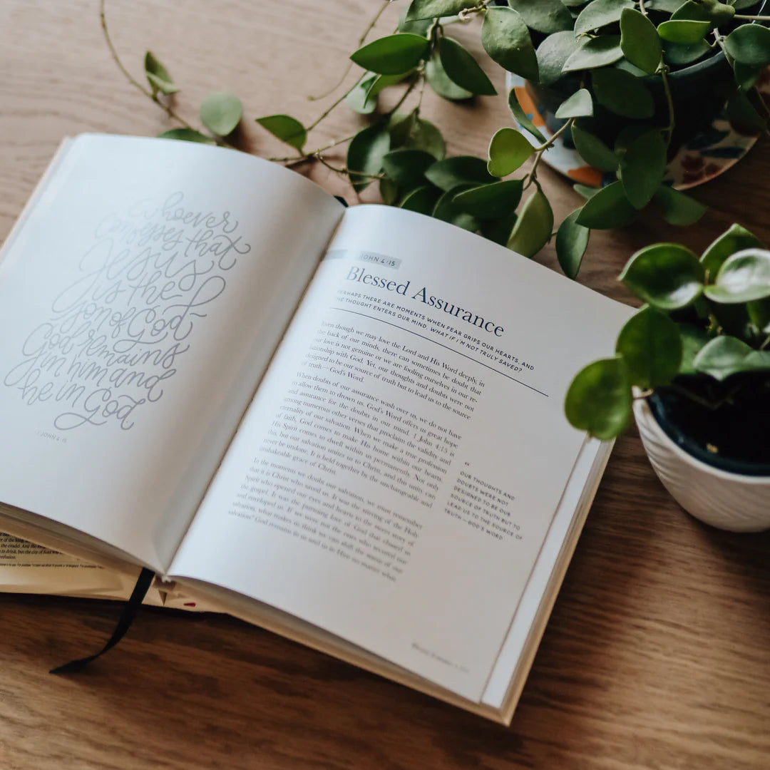 The Promises Of God - Coffee Table  Book