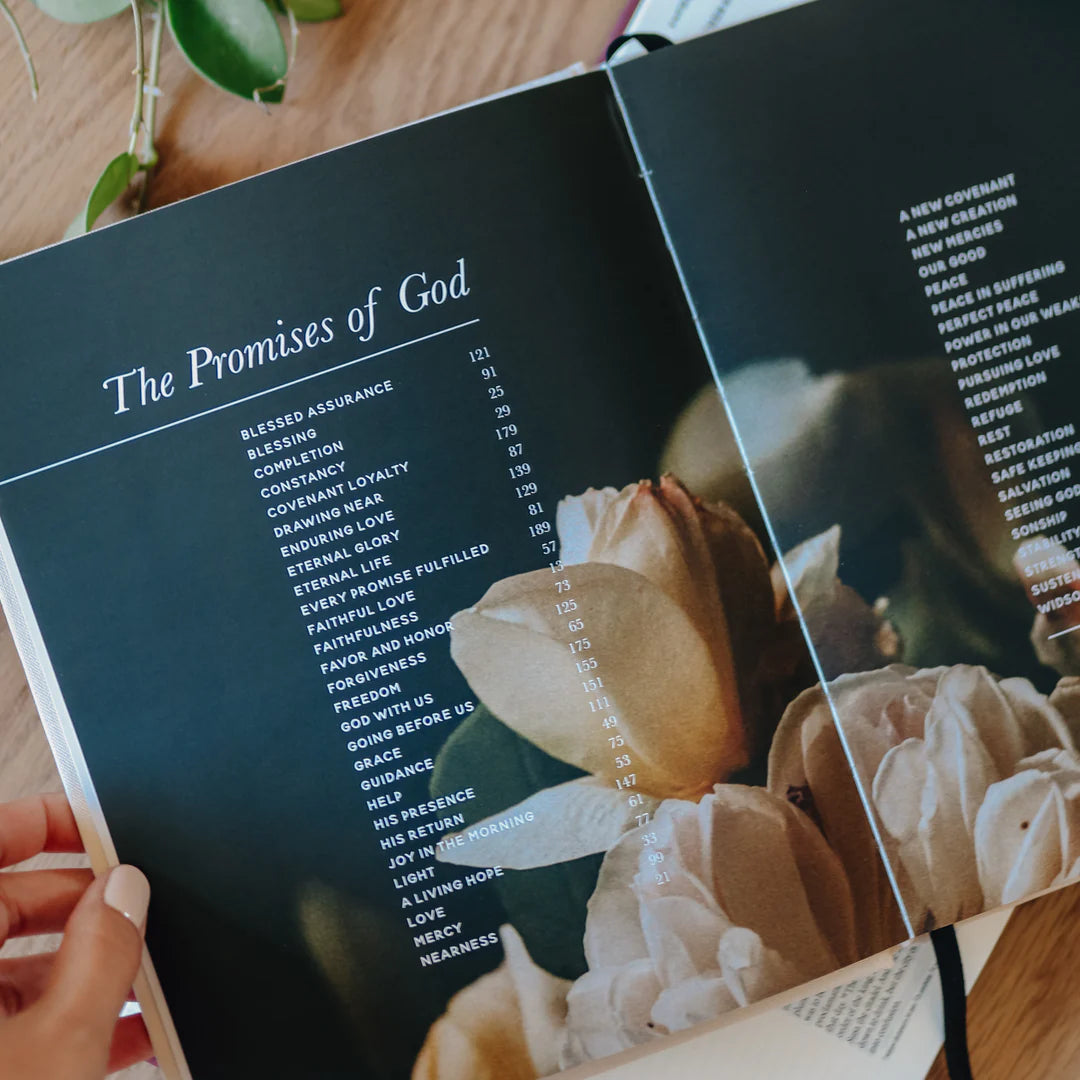 The Promises Of God - Coffee Table  Book