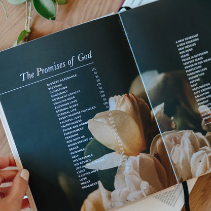 The Promises Of God - Coffee Table  Book