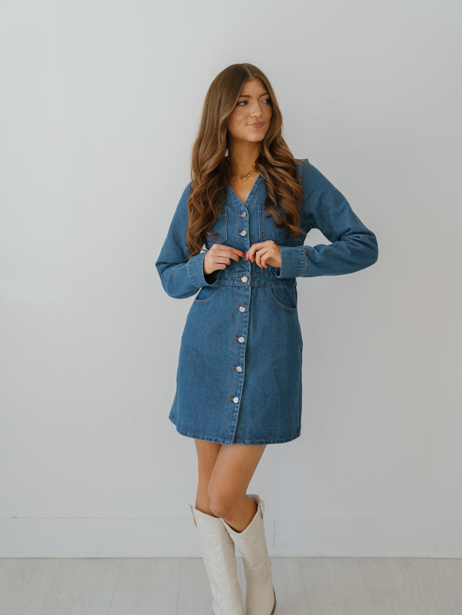 Simone Denim Dress