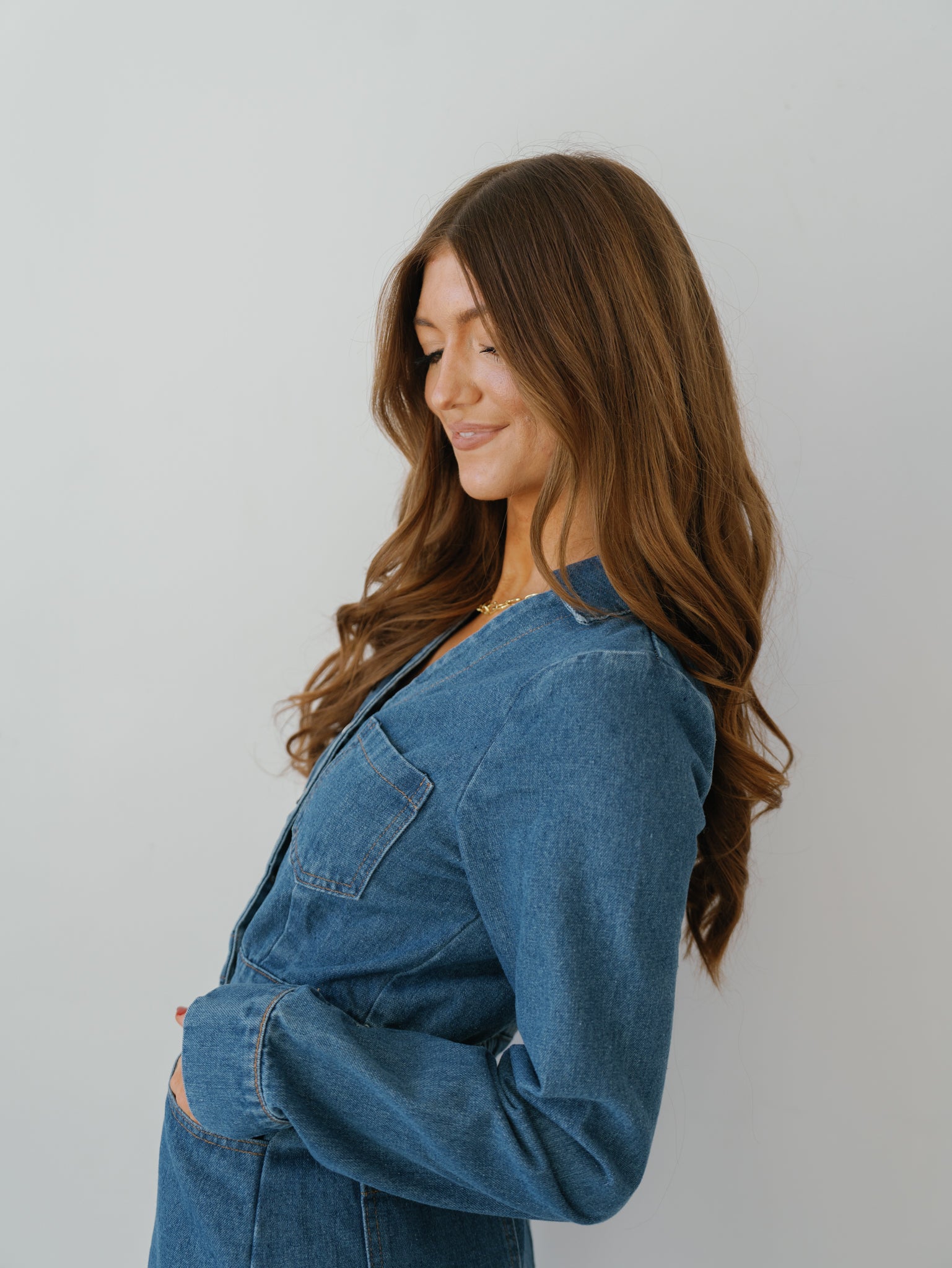 Simone Denim Dress