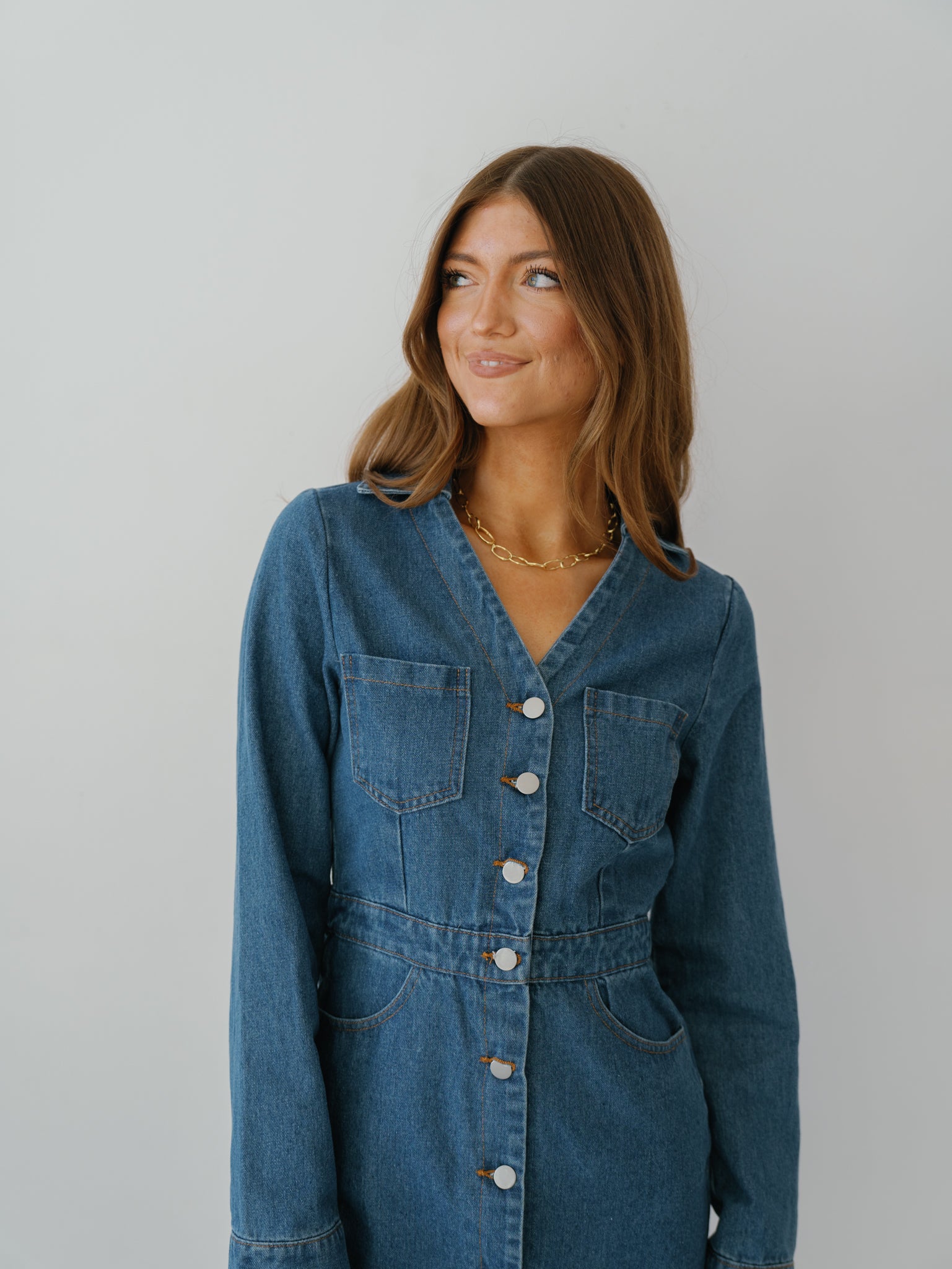 Simone Denim Dress